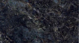 Frorest Green
